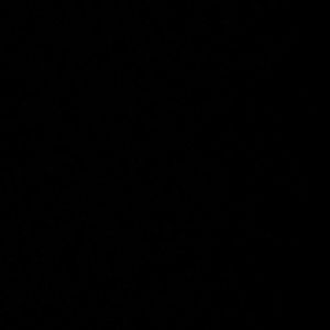 Meet your Posher, Paulina